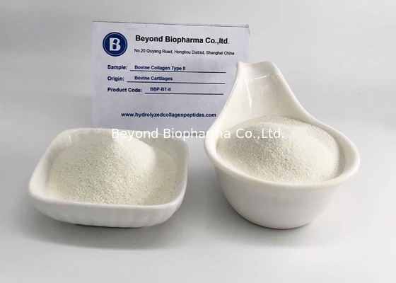 Hydrolyzed Bovine Collagen Type 2 สำหรับผิว / กล้ามเนื้อ / ข้อต่อ